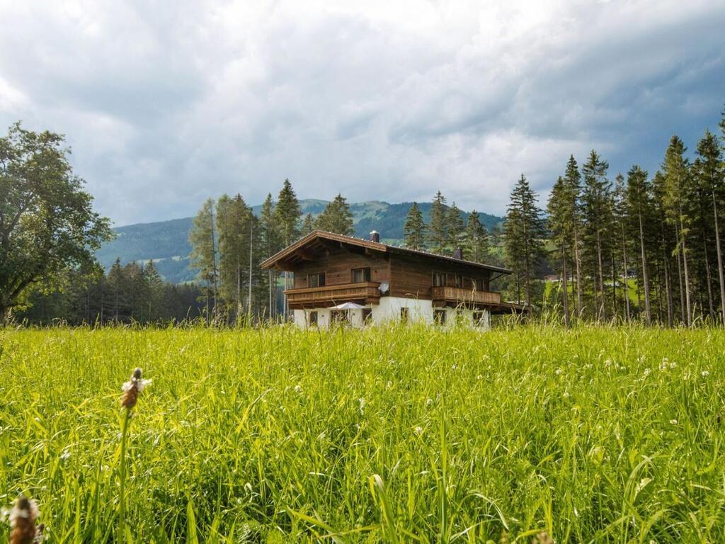 Chalet Freiblick Kleinhaid, Hollersbach Hollersbach im Pinzgau Exteriör bild