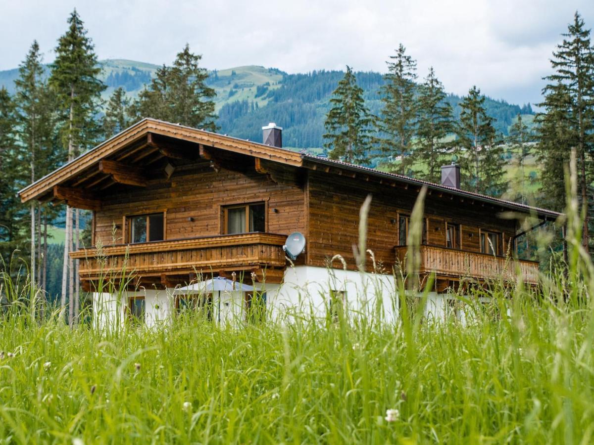 Chalet Freiblick Kleinhaid, Hollersbach Hollersbach im Pinzgau Exteriör bild