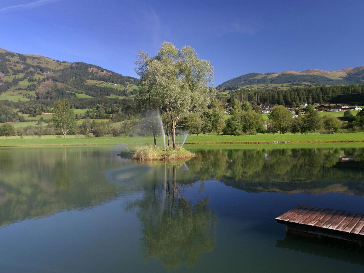 Chalet Freiblick Kleinhaid, Hollersbach Hollersbach im Pinzgau Exteriör bild