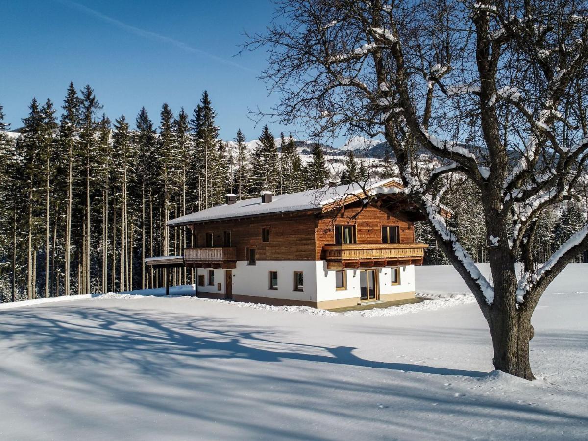 Chalet Freiblick Kleinhaid, Hollersbach Hollersbach im Pinzgau Exteriör bild